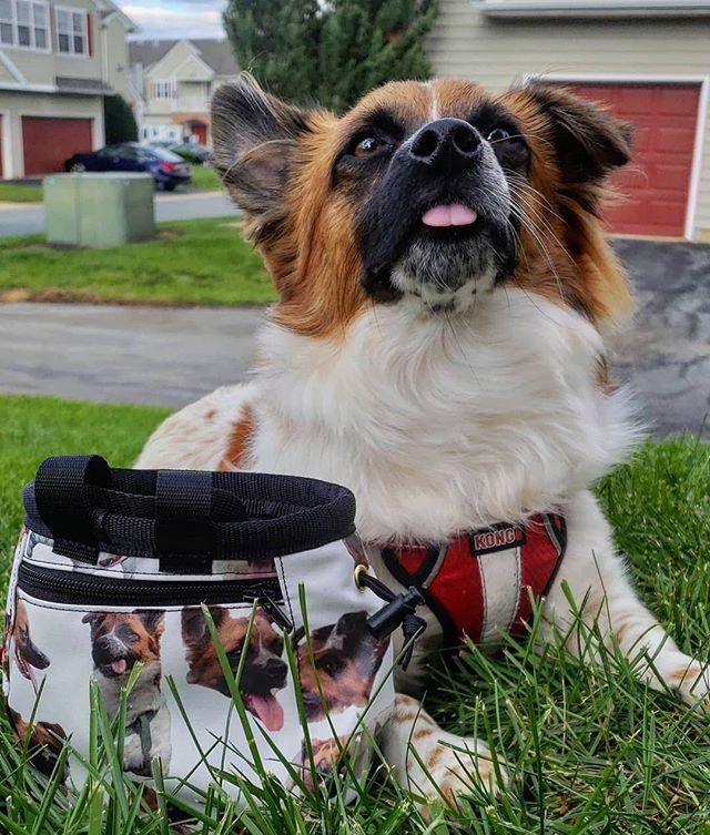 Hand Made Chalk Bags and Boulder Buckets Kanga Climbing Ontario