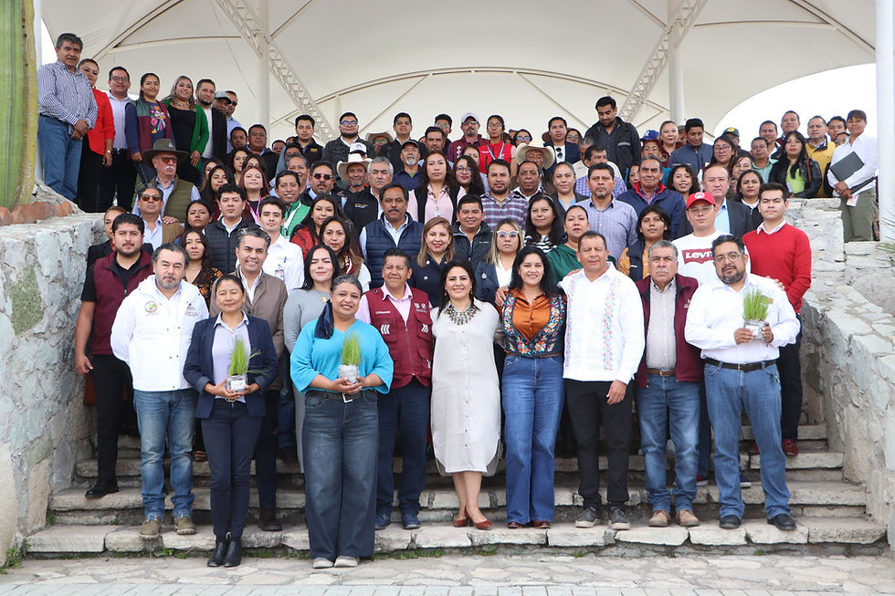 Hidalgo y CORENADR entregan más de 377 mil plantas forestales