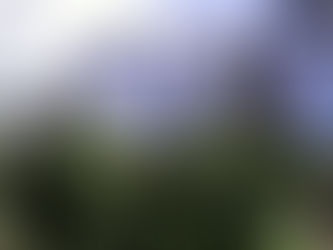 Acciones preventivas ante intoxicaciones por picadura de alacrán