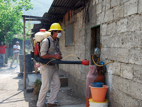 Actualización del Panorama Epidemiológico Estatal de Dengue