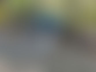 La Secretaría de Salud, informa sobre la Influenza aviar H5N1