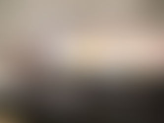 Se lleva a cabo sesión informativa para familias temporales