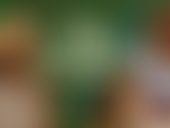 Mujeres del Mezquital: el alma del XVIII Festival del Pulque Ocampo en Atotonilco de Tula