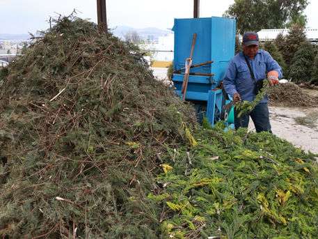 En Hidalgo se impulsa la prevención en materia ambiental con “Regrésalo a la Tierra, Cierra el Ciclo”