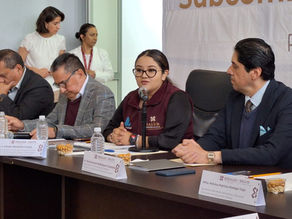 Reinstalan Comité Estatal de Prevención, Estudio y Seguimiento de la Morbilidad y Mortalidad Materna y Perinatal