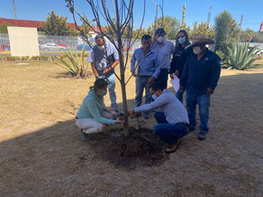 Semarnath realizará actividades de reforestación en las instalaciones del Hospital del Niño DIF