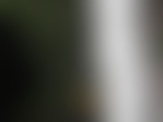 En Agua Blanca se lleva a cabo el primer Simulacro Latinoamericano de Rescate de Cañones