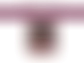 Fiscalía de Delitos de Género y Trata de Personas obtiene sentencia de 50 años de prisión para responsable de feminicidio