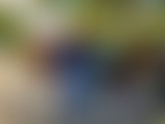 Representantes de la COESBIOH conocieron modelo de desarrollo sustentable para polinizadores