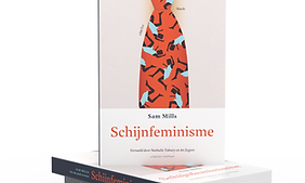Schijnfeminisme.png