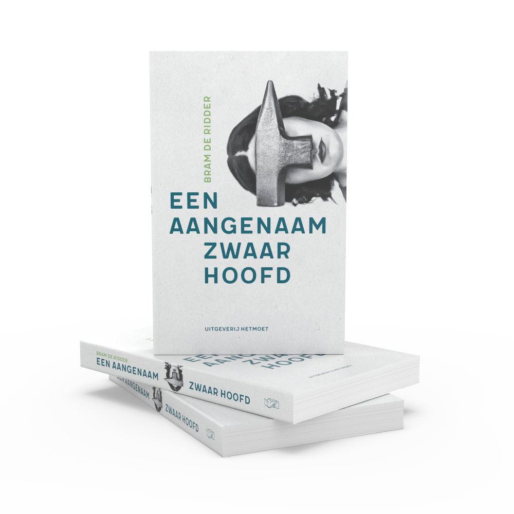 Een aangenaam zwaar hoofd - Bram de Ridder