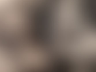 Tracing Darwish, then and now