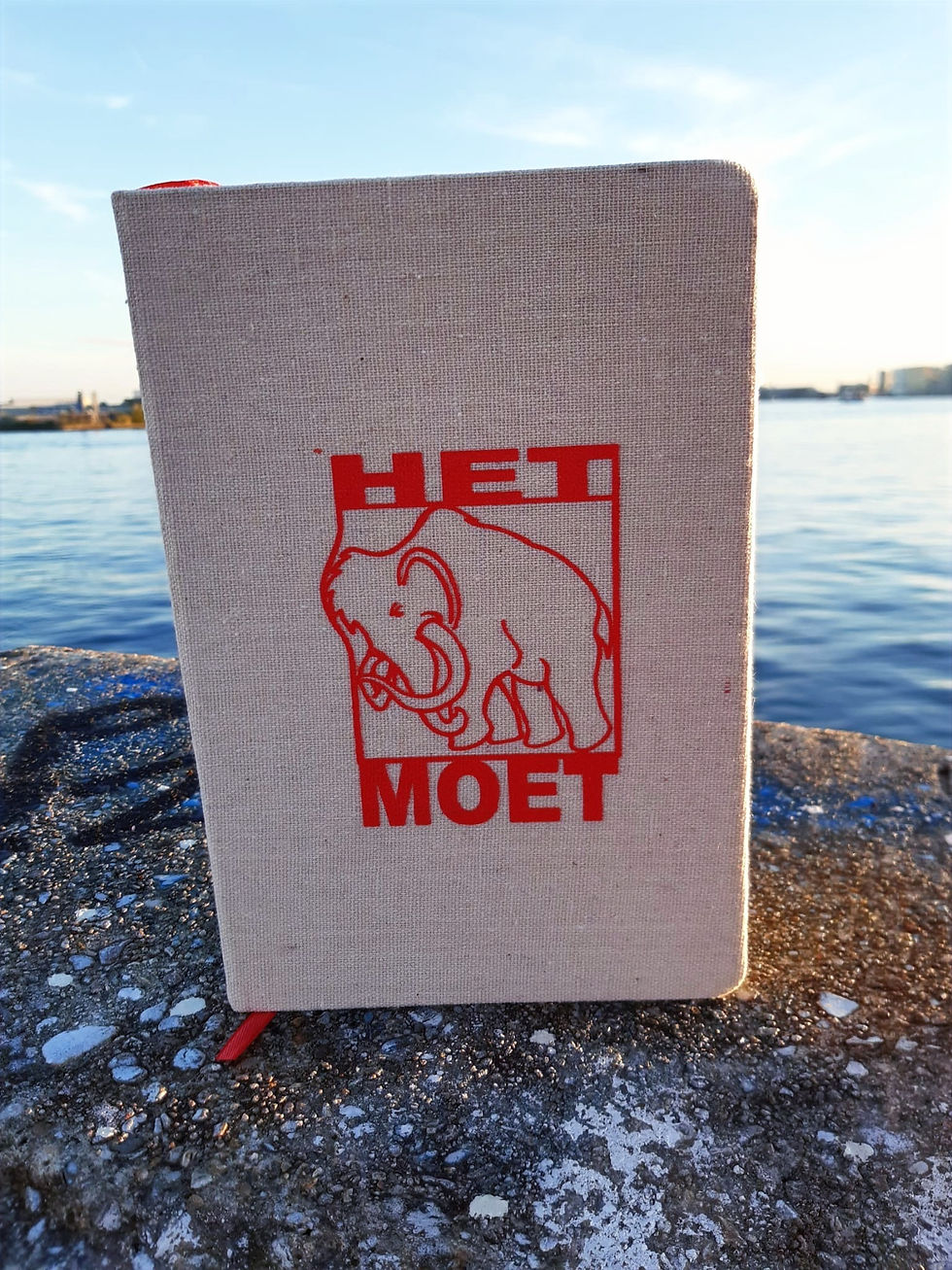 Thumbnail: HetMoet notitieboek