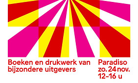 DRUK 2024 poster roze-geel.jpeg