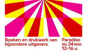 DRUK 2024 poster roze-geel.jpeg