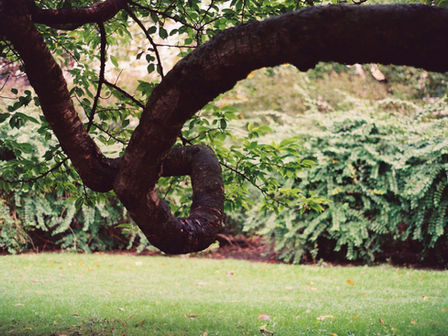 ‘Misschien is God een keel die stokt’