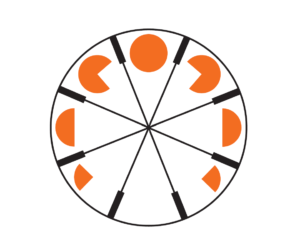 shapes. Thaumatrope.png
