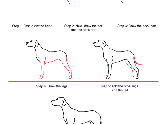 how-to-draw-a-dog-step-by-step.png