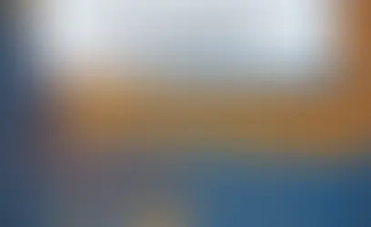 THE DEFINITIVE GUIDE TO LOYALTY STRATEGY