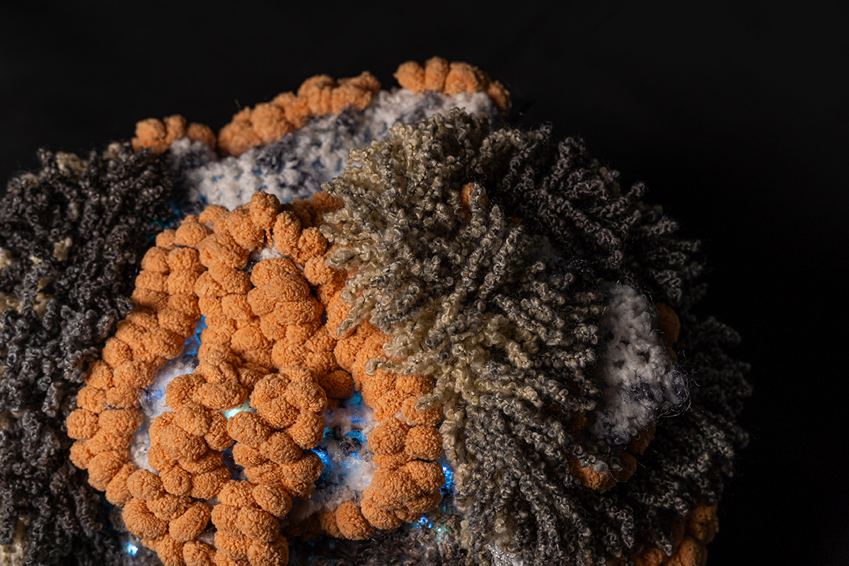 GreyReef_2024_Marita Setas Ferro_2