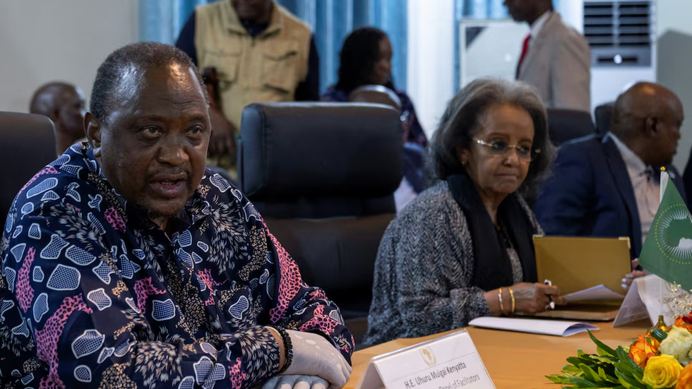 African Union Delegation Meets Congo Rebels, Calls for Continued Peace Efforts