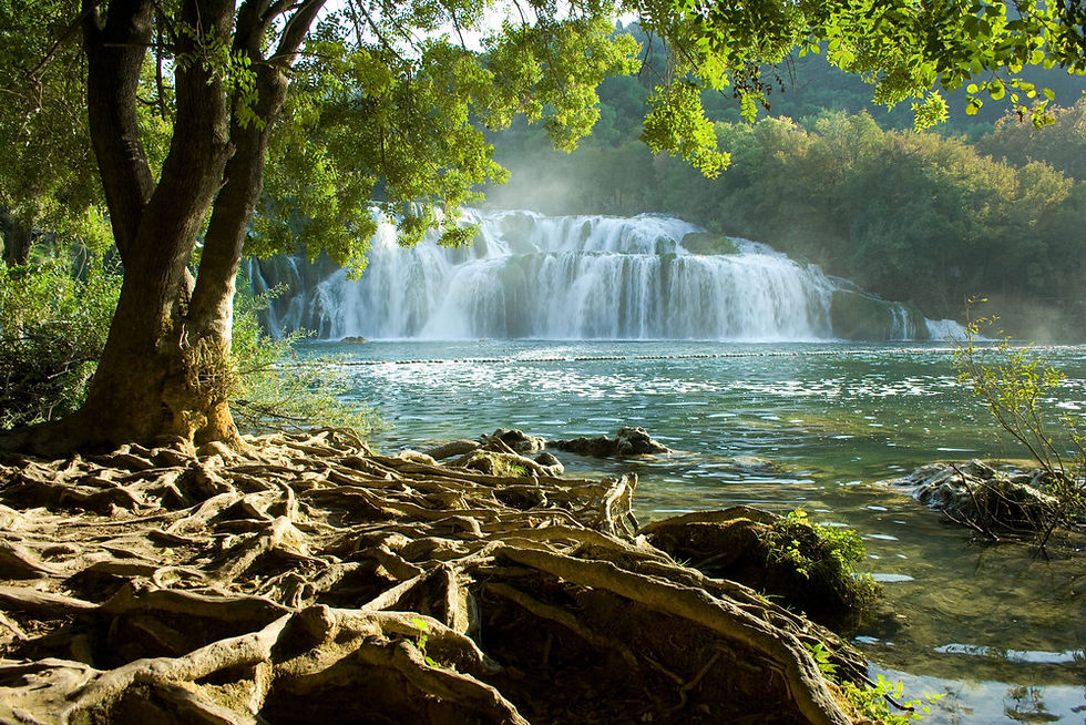 Krka