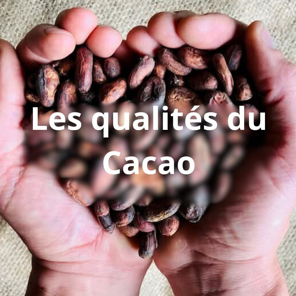 Close-up view of raw cacao beans on a wooden surface