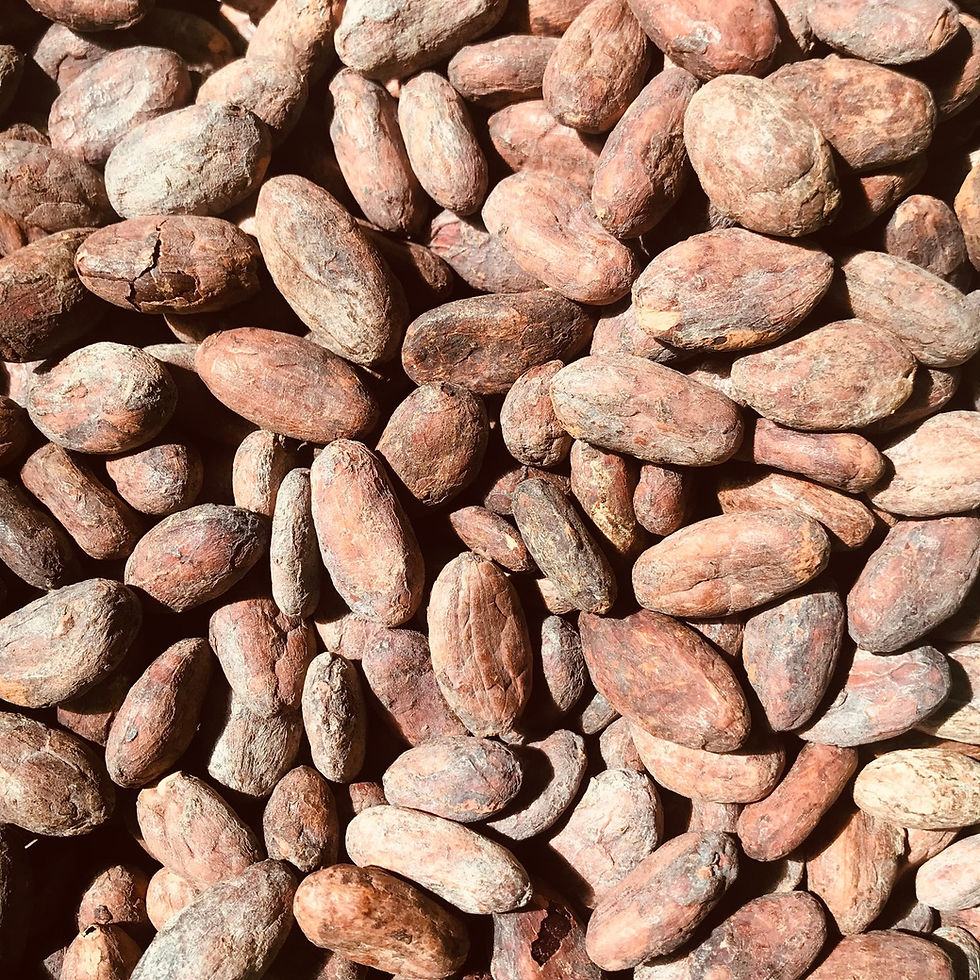 Close-up view of cacao beans in a rustic bowl