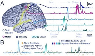 EEG_research_edited.jpg