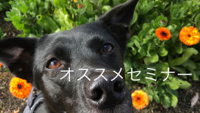 おすすめセミナー