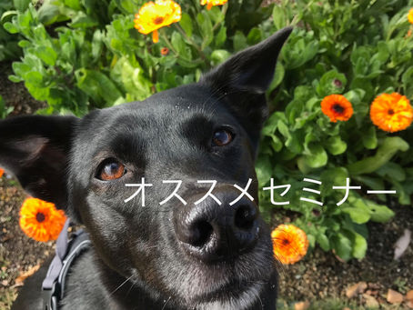 おすすめセミナー