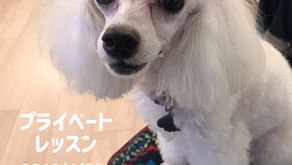 2019/4/22 プライベートレッスン