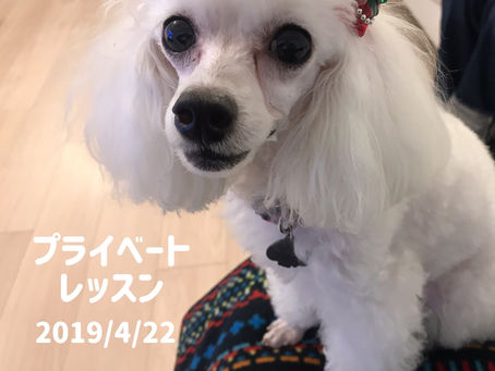 2019/4/22 プライベートレッスン