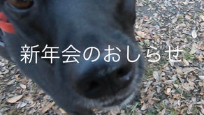 新年会のお知らせ