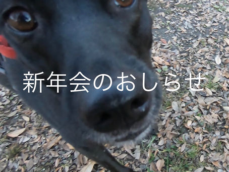 新年会のお知らせ