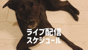 インスタライブ配信スケジュール
