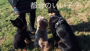 いいこ？それとも都合のいいこ？