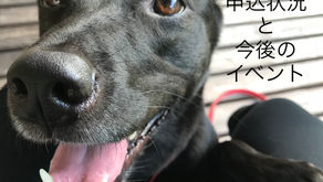 セミナー申込状況と今後のイベントについて