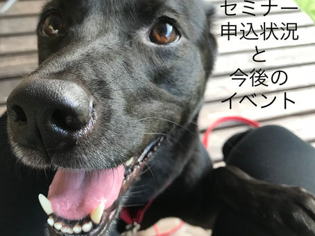 セミナー申込状況と今後のイベントについて