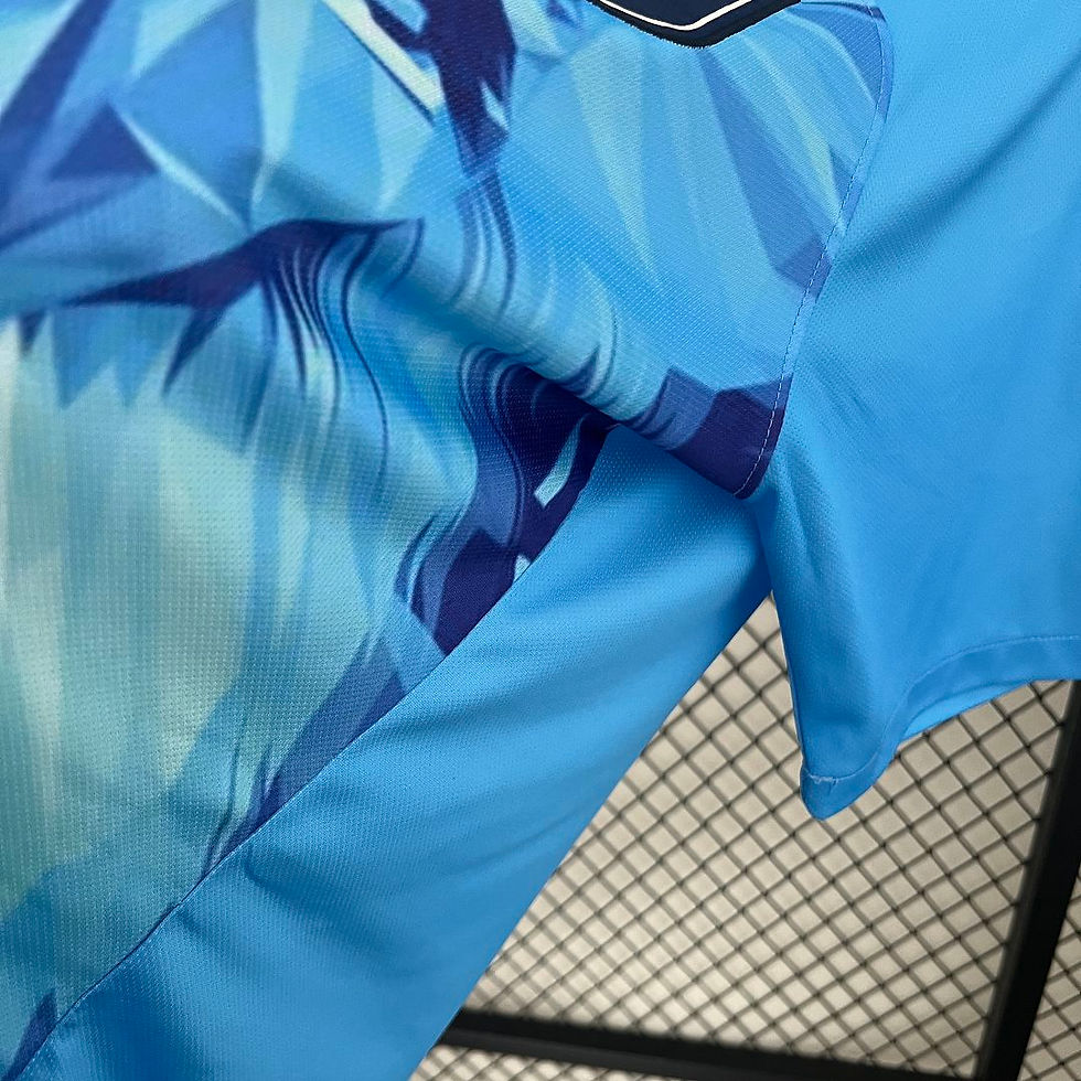 Thumbnail: 2024 Netherlands Lion Kit Special Edition