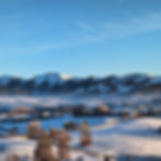 Winter Wonderland