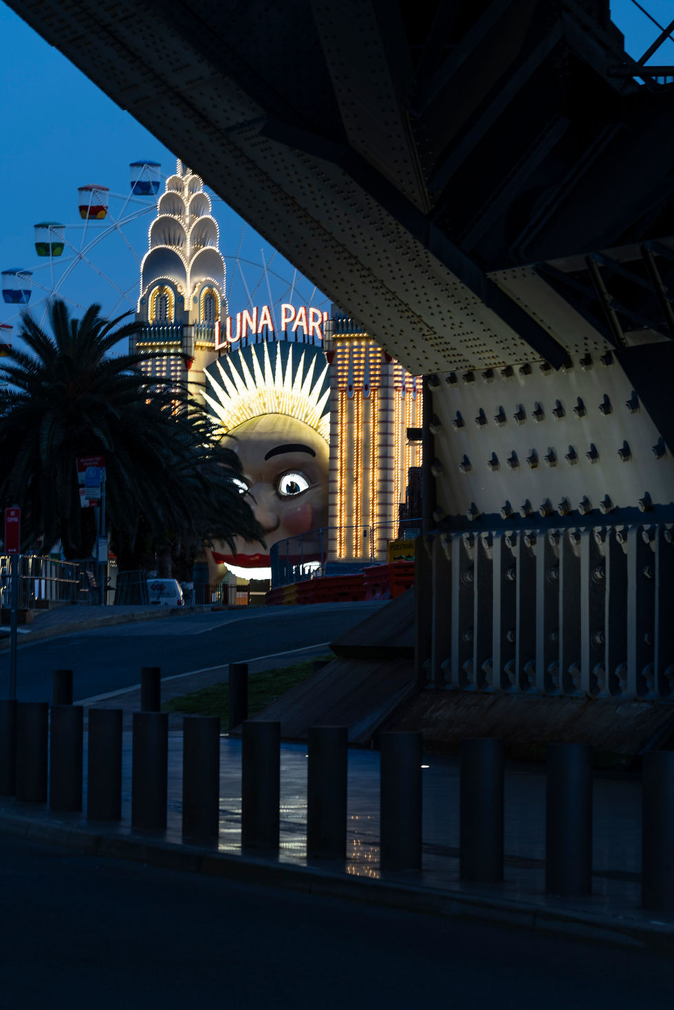 Border Collie balancing on a sea wall