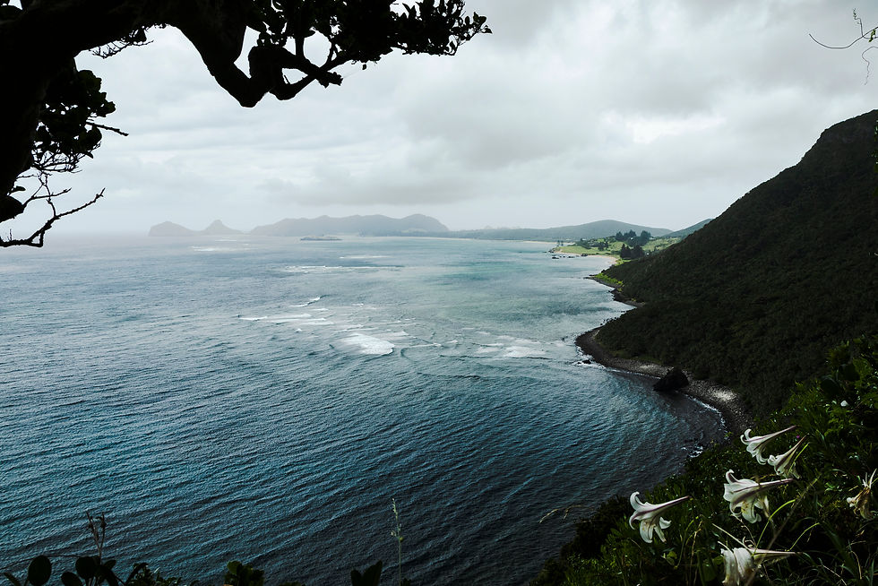 View of Lord Howe Island, part way along the Mt Gower trek