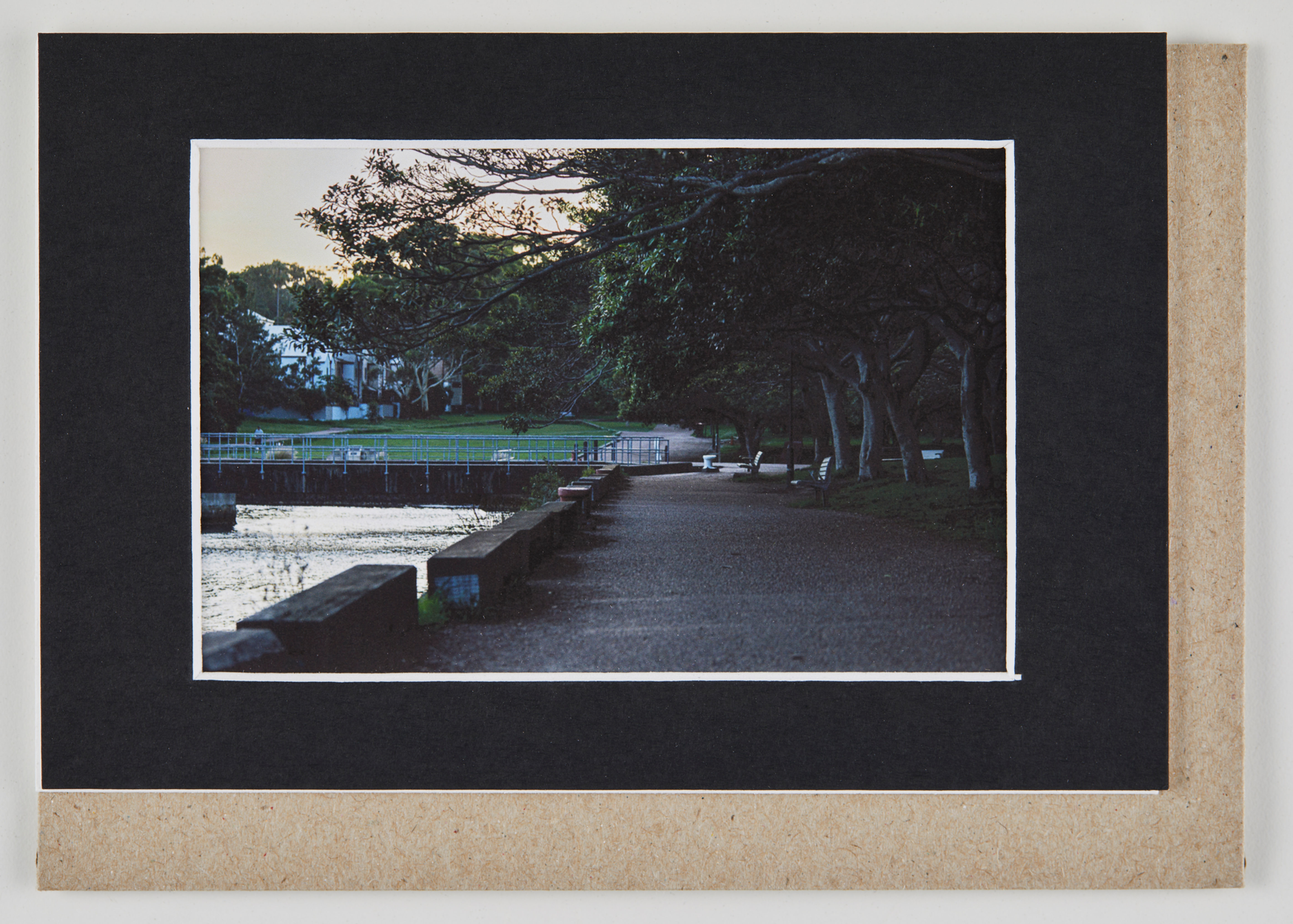 Evening Light - Australian Landscapes Greeting Card