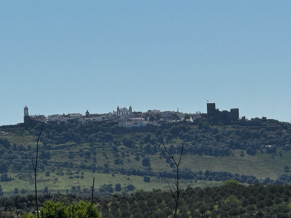 The Citadel of Monsaraz in the distance.