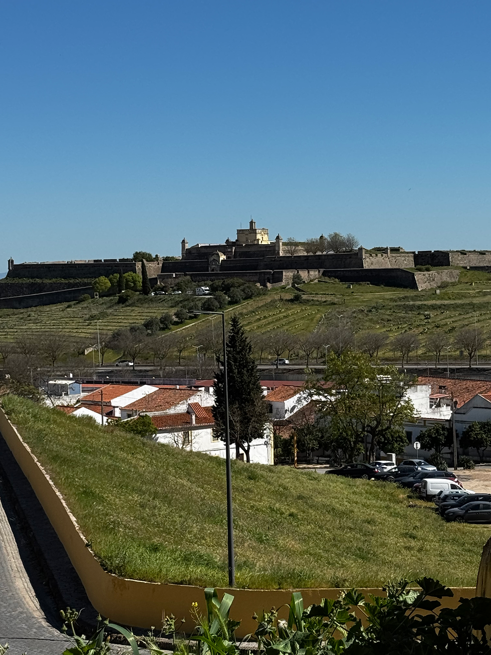 View from one of the wall parapets looking toward the main fort.