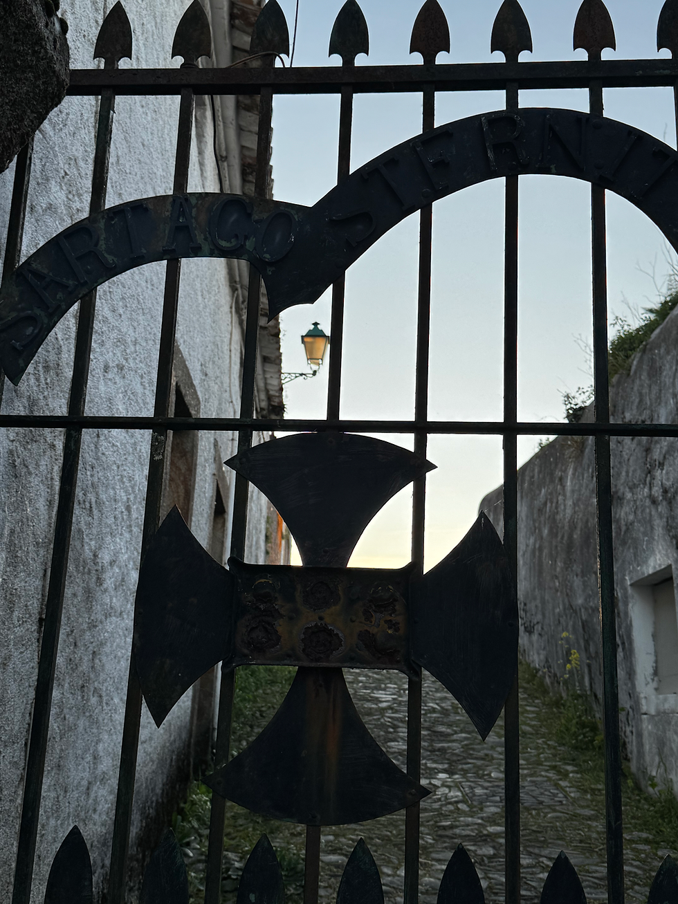 Gates at the entry of the castle.  Note the shape of the cross.....Dan Brown would know.