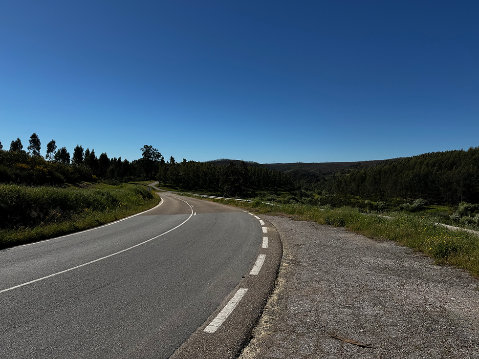 Fabulous winding roads.