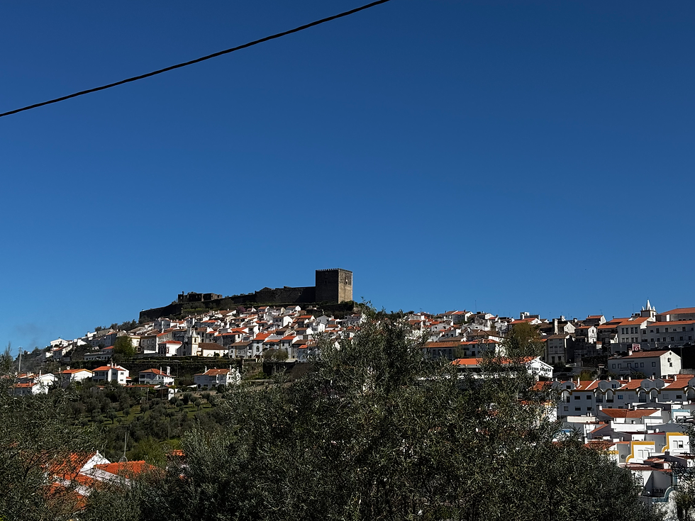 View of the castle from the valley road.