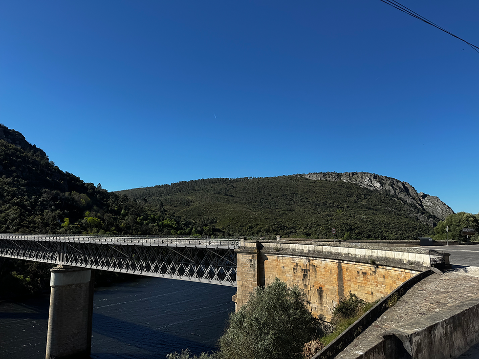 View of the bridge and the river downstream.